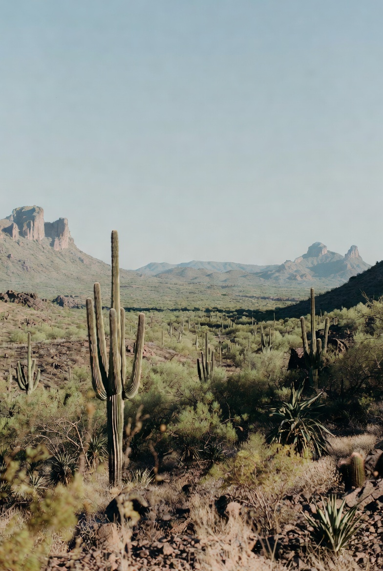 University of Arizona